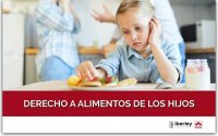 CURSO SOBRE EL DERECHO A ALIMENTOS DE LOS HIJOS
