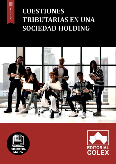 Cuestiones tributarias en una sociedad holding