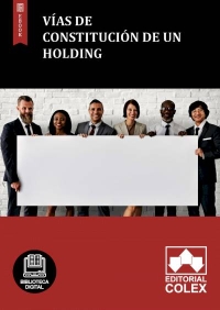 Vías de constitución de un holding