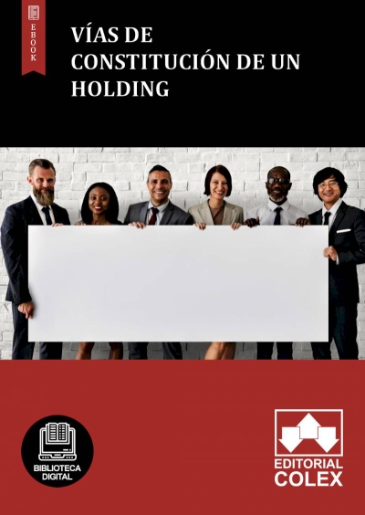Vías de constitución de un holding
