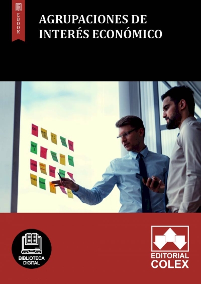 Agrupaciones de Interés Económico