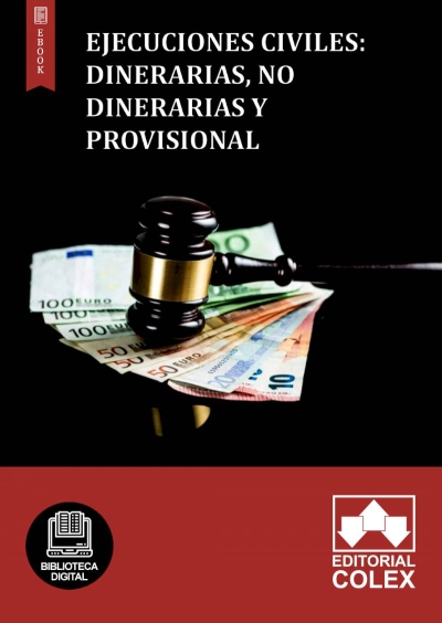 Ejecuciones civiles: dinerarias, no dinerarias y provisional