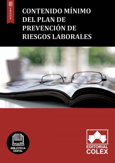 Contenido mínimo del Plan de prevención de riesgos laborales