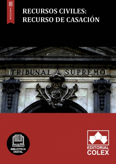 Recursos civiles: Recurso de casación